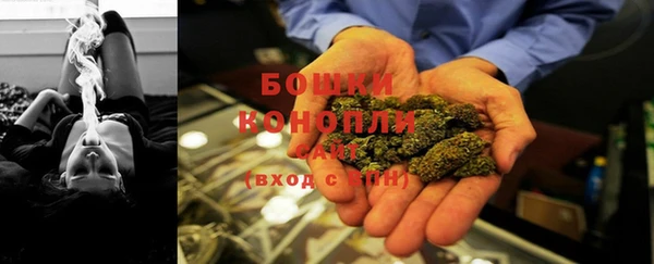 гидропоника Богданович