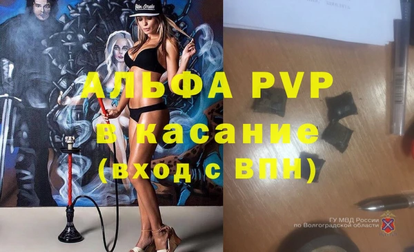 кокс Богородицк
