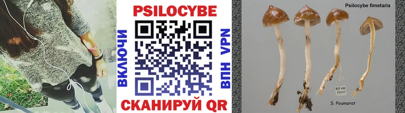 OMG рабочий сайт  Бородино  Псилоцибиновые грибы Magic Shrooms 