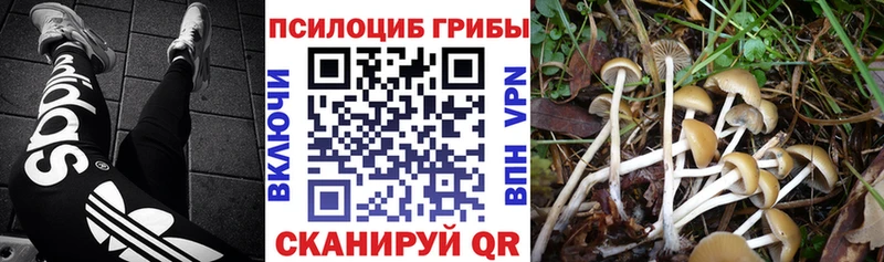 Псилоцибиновые грибы Magic Shrooms Бородино